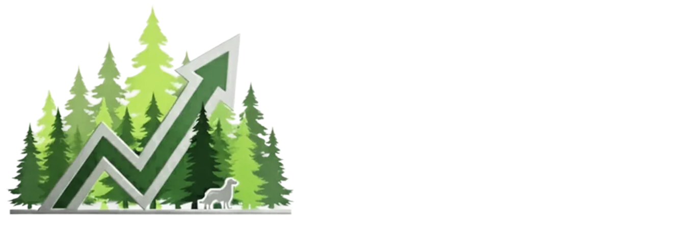 Vermont Accounting Services